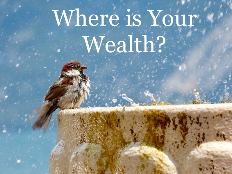 A17056C3-434B-4E41-AEBA-FD98F73ECA96