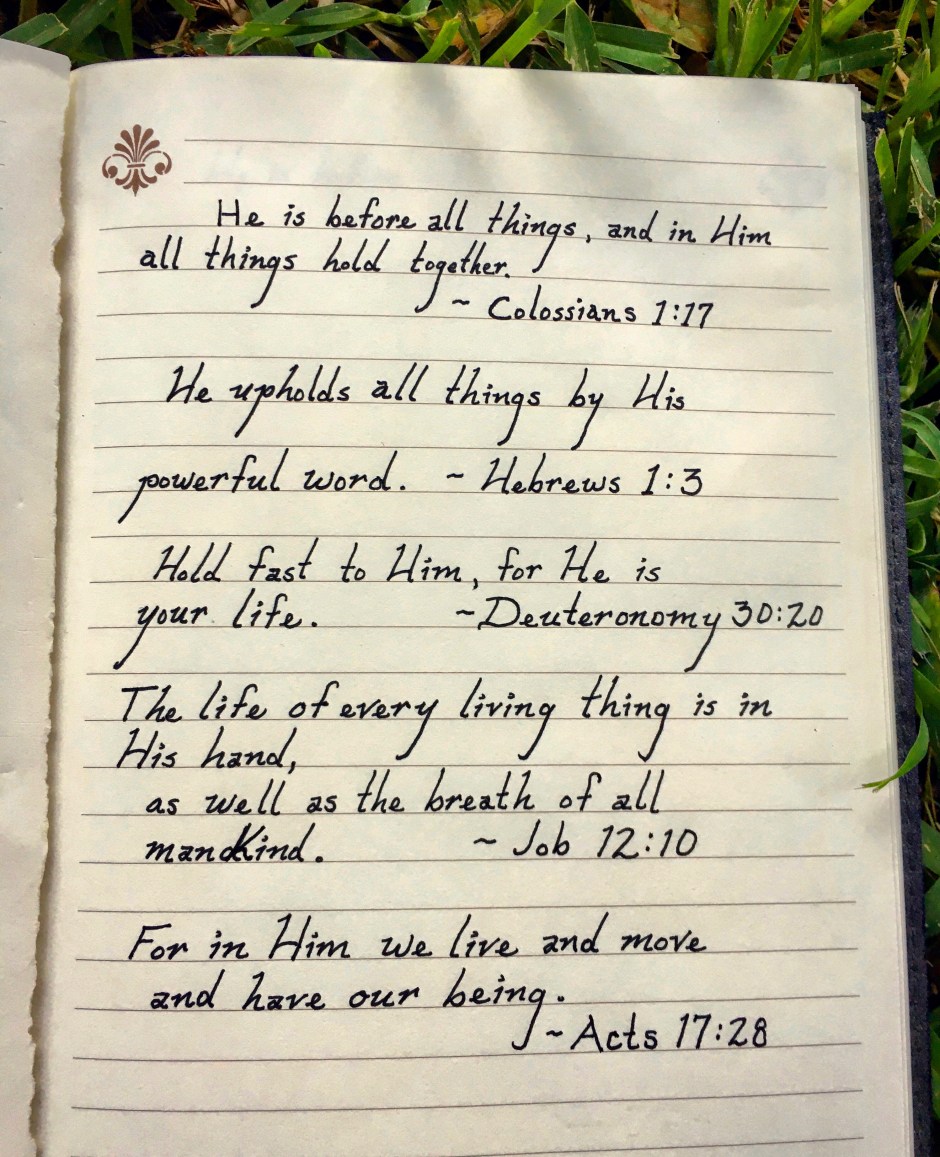 A7CF150D-D4C9-472B-9C09-4F8015A97958